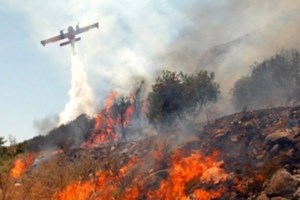 Φθιώτιδα: Υπό έλεγχο και οι έξι φωτιές – Οι πέντε σε δασική έκταση