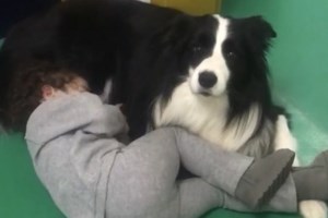 Απίστευτο περιστατικό στην Πάτρα: Γονείς εγκατέλειψαν τον ανήλικο γιο τους με αυτισμό σε κέντρο φροντίδας