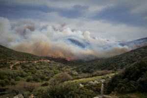 Συγκλονίζει το βίντεο για την φωτιά στην Άνδρο: "Θα βάλω αναγκαστικά φωτιά..." - Δήλωση σοκ από πρόεδρο του νησιού