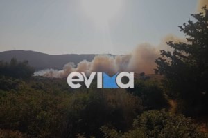 Φωτιά στη Δράμα: Καίει δάσος στο Κάτω Νευροκόπι - Σηκώθηκαν και εναέρια μέσα