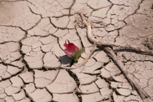 Κλιματική αλλαγή: Η Ασία ήταν η περιοχή του κόσμου που επηρεάστηκε περισσότερο το 2023 από τις φυσικές καταστροφές