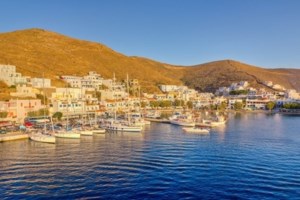 Σκιώδες παγκόσμιο δίκτυο ακρωτηριάζει και σκοτώνει γάτες για το κέρδος - Πληρώνουν για βίντεο με βασανιστήρια κατά παραγγελία - εικόνα 4