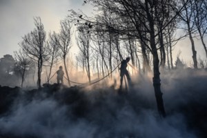 Μεγάλη κινητοποίηση για φωτιά στην Αγία Τριάδα Φαρσάλων: Στην επιχείρηση κατάσβεσης ελικόπτερο - Νέο μέτωπο και στο Σουφλί - εικόνα 2