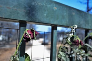 Αργυρούπολη: Μπαράζ εμπρηστικών επιθέσεων και ζημιές σε 4 αυτοκίνητα - εικόνα 2