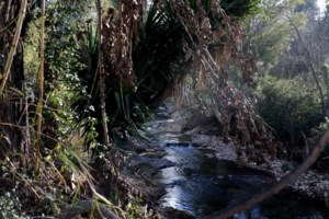 Σεξουαλική παρενόχληση 16χρονης μέσα στο Τραμ: Κανείς δεν τη βοήθησε παρά τις φωνές της - Το βιντεοσκόπησε η κοπέλα - εικόνα 3