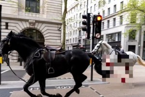 Στιγμές τρόμου στο Λονδίνο: Νεκρό αγόρι 13 ετών μετά την επίθεση με σπαθί σαμουράι - Αλλοι τέσσερις τραυματίες - εικόνα 3