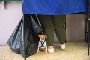 Ευρωεκλογές 2024: Ποιοι νομοί είχαν τη λιγότερη συμμετοχή - Η περιοχή που έσπασε ρεκόρ στην αποχή