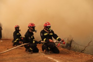 Λαγουβάρδος για φωτιές: Το φετινό καλοκαίρι είναι μια εικόνα του μέλλοντος - εικόνα 2