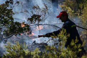 Υπό μερικό έλεγχο η πυρκαγιά σε δασική έκταση στην περιοχή Βρωμοπούσι Λαυρεωτικής