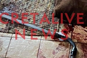 Δολοφονία 54χρονης στα Χανιά: Ανθρωποκυνηγητό για τον Νορβηγό - Ψάχνουν το στίγμα του κινητού