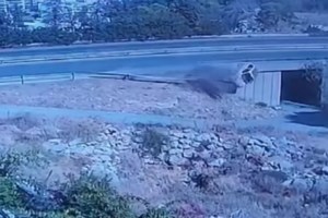 Σοκαριστικο βίντεο από τροχαίο δυστύχημα στη Θηβών με θύμα 22χρονο μοτοσικλετιστή - εικόνα 2