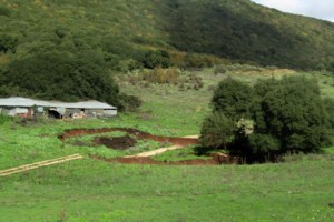 Λάρισα: Ομαλά εξελίσσεται η υγεία της γιατρού που κόλλησε αιμορραγικό πυρετό – Σε επιτήρηση 25 άτομα