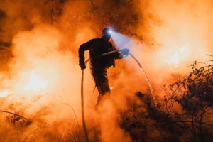 Το χειρότερο καλοκαίρι της Ισπανίας: Κάηκαν 3,5 εκατομμύρια στρέμματα δάσους - εικόνα 5