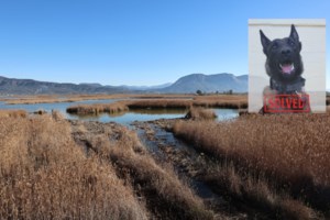 Ο Echo μετά τον εντοπισμό του Μπάμπη, πάει στην Ηλεία για τον 45χρονο οδηγό που παρασύρθηκε από χείμαρρο