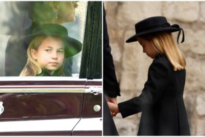 Κηδεία Ελισάβετ: Απίστευτο - Μικρή αράχνη περπατάει στην κάρτα του Καρόλου στο φέρετρο της βασίλισσας - εικόνα 3