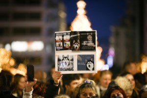 Σταματίνα Σταματάκου: Δύο διαφορετικές υποθέσεις, ένας κοινός παρονομαστής - Η εγκληματική ανευθυνότητα του κηδεμόνα - εικόνα 2