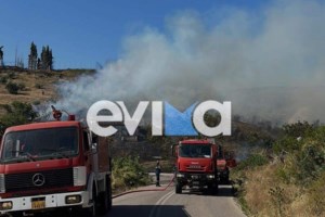 Φωτιές στην Ελλάδα: Ορατοί από δορυφόρο οι καπνοί χιλιομέτρων - Οι συνθήκες που κάνουν την χώρα "πυριτιδαποθήκη" - εικόνα 3