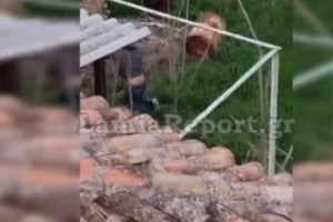 Απίστευτη εικόνα: Ρομά σκαρφαλώνει σε πυλώνα υψηλής τάσης για να κλέψει σίδερα- Επιδημία στην Αταλάντη [εικόνες] - εικόνα 2