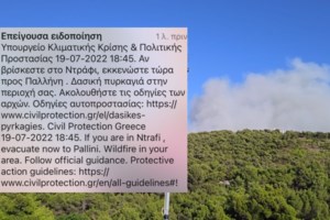 "Η φωτιά μπήκε στο Ντράφι, φτάνει στα σπίτια": SOS από τον δήμαρχο Ραφήνας Πικερμίου - Έκλεισαν δρόμοι