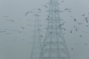 Ελληνική πρωτιά στη "μάχη" της κρουαζιέρας - εικόνα 2