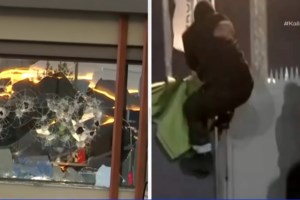 Ο Ρουβίκωνας παράδεχεται ότι τα έσπασε σε λάθος εταιρεία αντί για τη Βιολάντα: "Θα αποζημιωθεί για τις υλικές ζημιές"