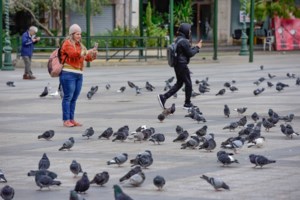 Καιρός: Σε μικρή άνοδο η θερμοκρασία σήμερα - Ερχονται ανοιξιάτικα Χριστούγεννα