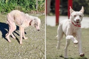 Αριέλα: Chic and Simple - Έχει μόνο φίλους - Βασικά έχει όλους τους φίλους - Μάλλον λάθος, τους έχει όλους φίλους - εικόνα 2