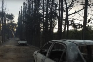 Φωτιά στο Μάτι: Ράγισαν καρδιές στο μνημόσυνο για τα 103 θύματα που χάθηκαν πριν τέσσερα χρόνια [Εικόνες] - εικόνα 3