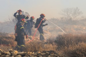 Εύβοια: Από χορτοκοπτικό ξεκίνησε η φωτιά στην Κάρυστο, μια σύλληψη – Σε επιφυλακή για τον κίνδυνο αναζωπυρώσεων - εικόνα 5