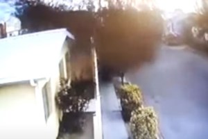 Ανησυχία για τη γρίπη των πτηνών: Μαζικοί θάνατοι αργυροπελεκάνων στη Μικρή Πρέσπα και σε άλλες λίμνες - εικόνα 3