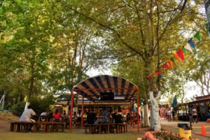 Συναγερμός στις παιδικές κατασκηνώσεις: Εντοπίστηκαν περίπου 100 κρούσματα