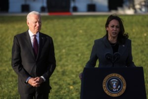 Tουρκία: Viral η Μίδα, η γατούλα που γεννήθηκε με τέσσερα αυτιά [Βίντεο-Εικόνες]