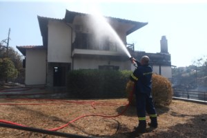 Αυξημένα μέτρα λόγω ισχυρών ανέμων στην Αττική: Κλειστός ο Εθνικός Κήπος - Περιπολίες και drones