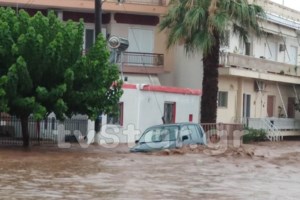 Τραγωδία στην Εύβοια: Πνίγηκε βρέφος 8 μηνών από την κακοκαιρία - Πέντε οι νεκροί, ένας αγνοούμενος - Τι δήλωσε ο Ν. Χαρδαλιάς - εικόνα 7