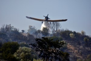 Υπό έλεγχο η φωτιά στη Σαλαμίνα - Σηκώθηκε και το "θηρίο" BERIEV-200