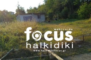 Χαλκιδική: Σοκάρει ο 17χρονος που δέχθηκε τα σκάγια του ηλικιωμένου- "Βλέπω το κεφάλι μου γεμάτο αίματα" - εικόνα 2