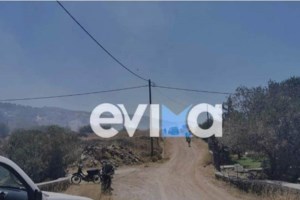 Υπό μερικό έλεγχο η φωτιά στον Μαραθώνα: Μήνυμα 112 για τις περιοχές Παλιούρι και Ριζάρι - εικόνα 4