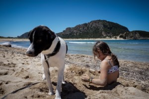 Λεϊσμανίαση ή "Kala azar": Μια σοβαρή και διαρκής απειλή για τη ζωή του σκύλου μας