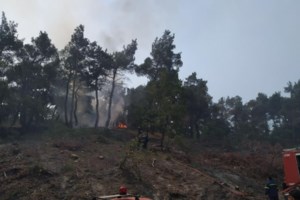 Πολλά και κρίσιμα τα μέτωπα στη φωτιά στο Πετρωτό Δομοκού - Μάχη με τις φλόγες και τους ανέμους - εικόνα 2