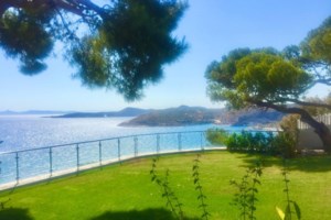 Τι συμβαίνει με την τιμή και τη φήμη του ελληνικού ελαιολάδου - εικόνα 3