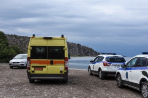 Χαλκίδα: Σμήνος μελισσών επιτέθηκε σε 12χρονο – Έπαθε αλλεργικό σοκ