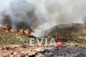 Μεγάλη φωτιά στη Θήβα - Καίει πολύ κοντά σε σπίτια [εικόνες-βίντεο]