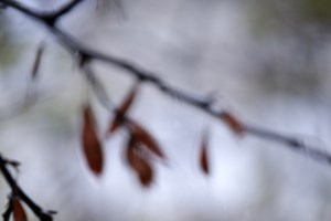 Meteo: Ενισχύονται οι βοριάδες και πέφτει η θερμοκρασία την Παρασκευή