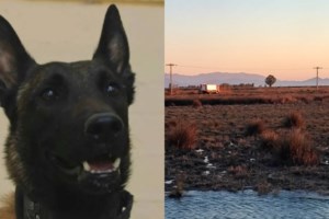 Ο Echo μετά τον εντοπισμό του Μπάμπη, πάει στην Ηλεία για τον 45χρονο οδηγό που παρασύρθηκε από χείμαρρο - εικόνα 2