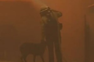 Λέκκας για Λος Άντζελες: Είχαμε στρεβλή άποψη - Η πυρκαγιά σε αστικούς χώρους δύσκολα αντιμετωπίζεται - εικόνα 3