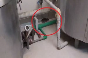 Απίστευτες εικόνες στη Θεσσαλονίκη: Τουρίστας κολυμπά στον Θερμαϊκό ανάμεσα σε ψόφια ποντίκια [βίντεο] - εικόνα 2