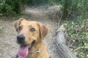 Για Σαββατοκύριακα, γιορτές, αργίες, ημέρες κοπάνας από τη δουλειά αλλά και για κάθε μέρα συστήνουμε ανεπιφύλακτα την Κλεοπάτρα - εικόνα 2