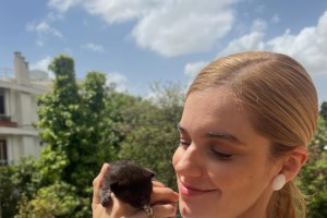 Απίστευτη περιπέτεια για γάτα που κρύφτηκε σε κούτα και την ταχυδρόμησαν 1.600 χιλιόμετρα μακριά