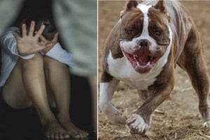 Χαλκιδική: Ο Θεσσαλονικιός μάγειρας που μάζεψε 16.000 γόπες και 2.332 πλαστικά καπάκια από παραλίες [Εικόνες] - εικόνα 2