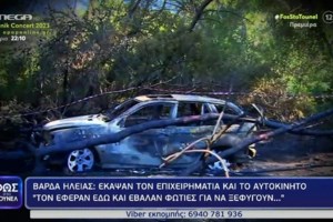 Σάκης Γκολφίνος: Δολοφονία το ολοκαύτωμα του επιχειρηματία  -  Σπαράζει η μητέρα του ένα χρόνο μετά - εικόνα 2